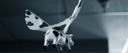 Zielinski Design Associates - Dallas, Texas - Clients